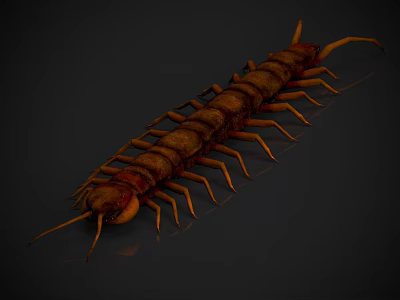 Realistic 3D Rendered Centipede With Brown Body Red Segments And Many Legs 3d model