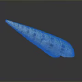 Long Pointed Aquatic Animal Conch Shell With White Purple Spots On Dark Reflective Surface