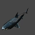 Realistic 3D Shark Model With Open Mouth And Detailed Skin Texture