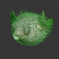 Modern thorn dolphin puffer fish marine animal fish 3d model