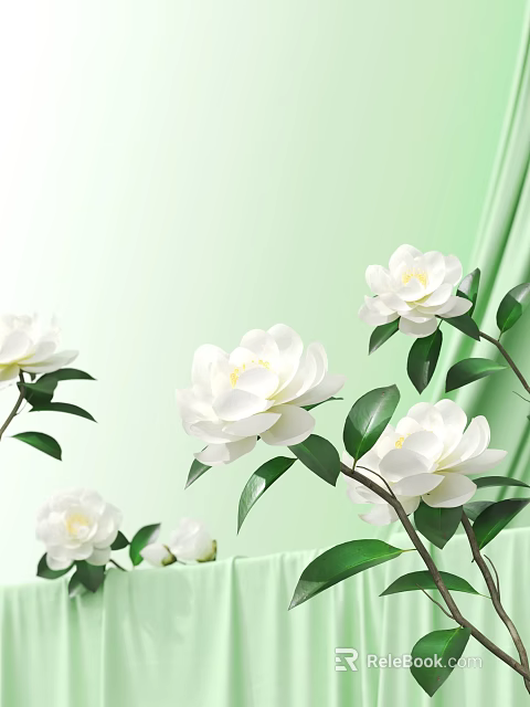 White Camellia Flowers With Green Leaves On Light Green Background Featuring Blooming Blooms And Buds 3d model 