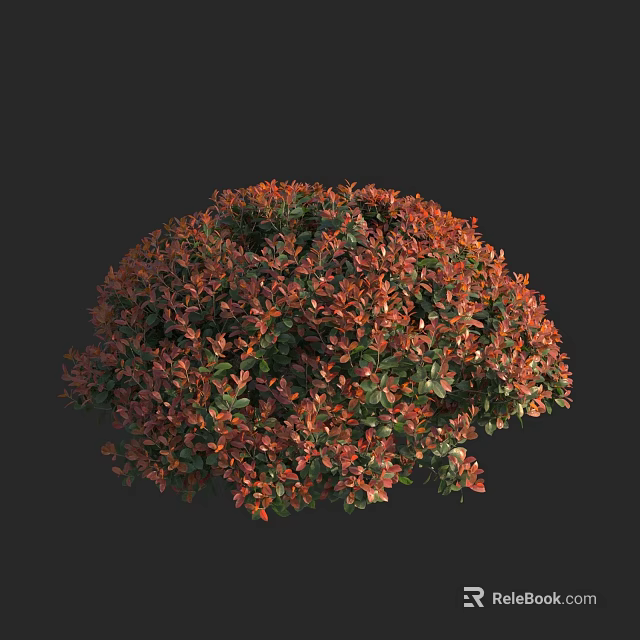 Round Shrub with Red and Green Lush Leaves for Garden Landscaping 3d model 
