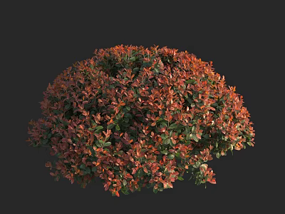 Round Shrub with Red and Green Lush Leaves for Garden Landscaping 3d model