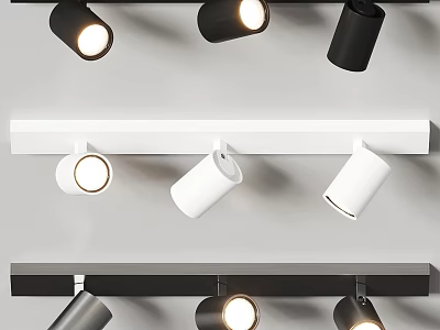 Modern Black And White Track Mounted Adjustable LED Downlights And Spotlights For Home Lighting 3d model
