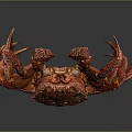 Red Crab With Textured Body Long Legs And Claws On Dark Background