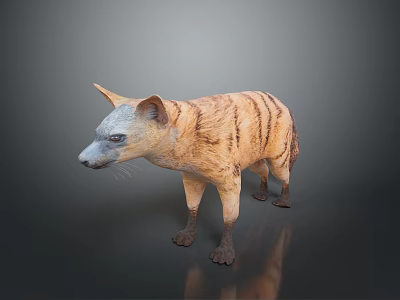 Realistic Striped Hyena 3D Model in Standing Pose on Neutral Background 3d model