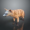 Realistic Striped Hyena 3D Model in Standing Pose on Neutral Background 3d model