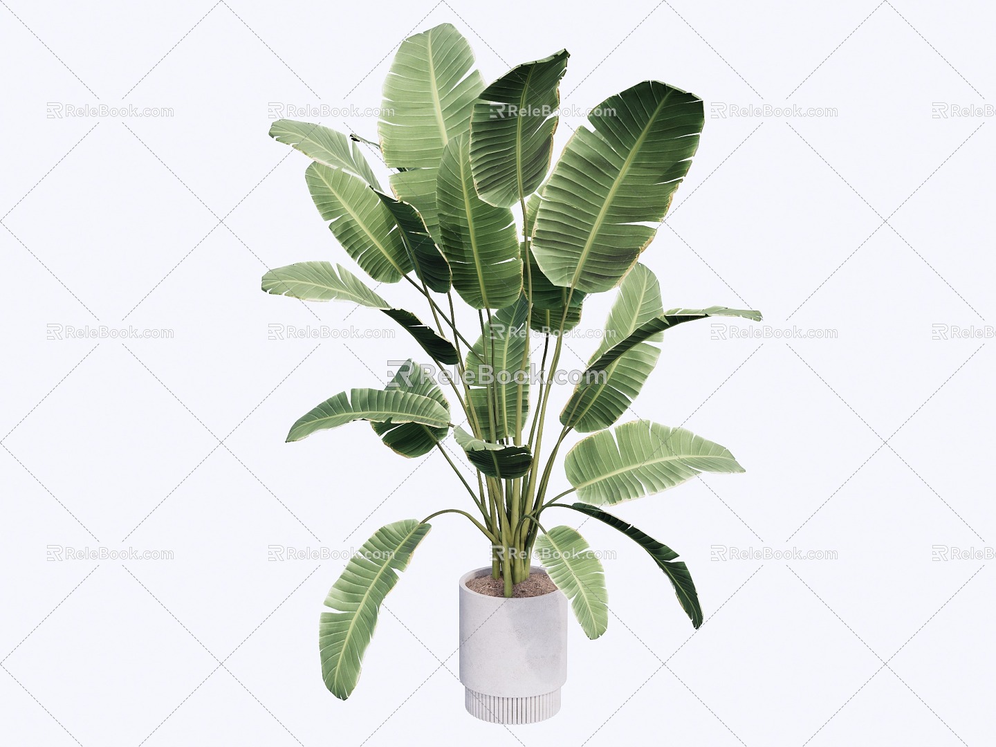 indoor potted plant 3d model