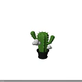 Green Cactus Plant in Black Pot with White Cloud Decorations and Spines