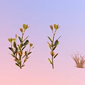 Wheat Plant And Small Shrubs With Green Leaves On Gradient Background 3d model