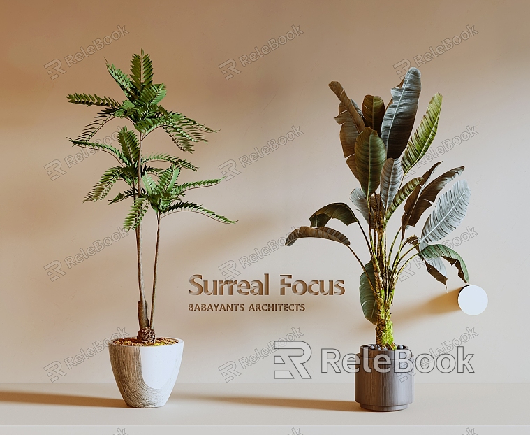 Modern Green Plants Kwai Plants Tropical Plants model