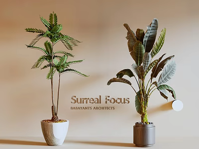 Indoor Decorative Potted Plants with Fern and Broad Leaf in White and Gray Ceramic Pots 3d model