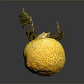 Yellow Citrus Fruit With Rough Surface And Dried Stems On Dark Background 3d model