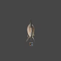 Gray Fish With Scales And Fins On Plain Gray Background