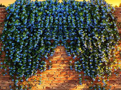 Blue Flower Vine Covering Brick Wall With Lush Growth And Sunset Light 3d model