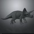 Realistic Detailed Triceratops Dinosaur Model Sculpture Display on Gray Background