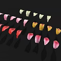 Colorful Flower Petals in Various Shades Arranged Neatly on Black Background