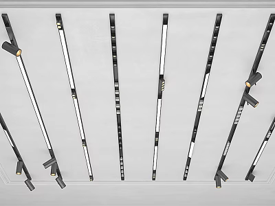 Black White Downlights And Spotlights With Sleek Design For Modern Home Lighting 3d model
