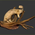 Artistic Wooden Otter Sculpture Perched On Curved Natural Driftwood Branch