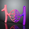 3D Rendered Organ and Hair Anatomical Structure with Vibrant Pink Purple Network Tubular Design