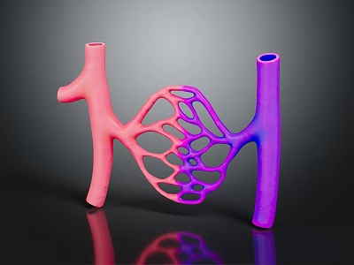 3D Rendered Organ and Hair Anatomical Structure with Vibrant Pink Purple Network Tubular Design 3d model