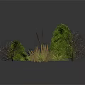 Cartoon Scene Featuring Various Plants Including Green Shrubs Dry Branches And Grass