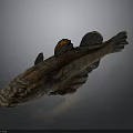 Realistic Brown Fish With Orange Fins As Detailed 3D Model On Gray Background