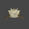 Vintage Bull Skull with Natural Horns as Decorative Wall Art Piece