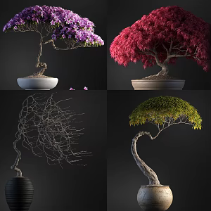 New Chinese Bonsai Indoor Bonsai Plant 3d model