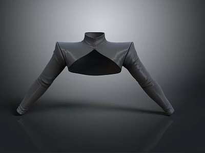 Modern Dark High Neck Fitted Top With Structured Shoulders Long Sleeves Smooth Material 3d model