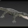 Large Crocodile with Open Mouth in Natural Outdoor Setting and Green Trees