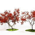 The Modern Tree 3d model