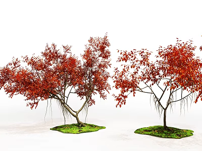 Realistic Inflatable Tree Model With Red Leaves Aerial Roots Green Grass And White Background 3d model