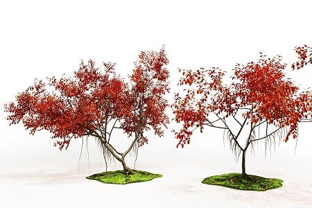 The Modern Tree 3d model