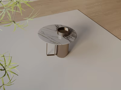 Modern Round Side Table With Marble Top Metal Base And Green Plants On Wooden Floor 3d model