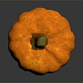 Orange Pumpkin Plant With Green Stem And Textured Surface On Dark Background