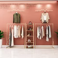 Elegant Golden Clothes Racks With Hanging Garments Shoes And Bags On Pink Wall