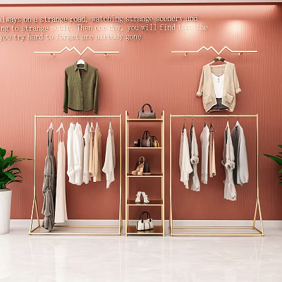 Elegant Golden Clothes Racks With Hanging Garments Shoes And Bags On Pink Wall 3d model