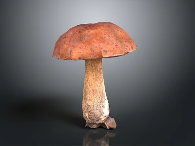 Fresh Edible Mushroom With Red Cap And Brown Stem On Dark Background 3d model