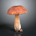 Fresh Edible Mushroom With Red Cap And Brown Stem On Dark Background