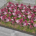 Garden Landscape With Square Flower Bed Wooden Lattice Fence And Pink Purple Flowers