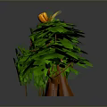 Various Green Plants And Yellow Flowers In Potted Decorative