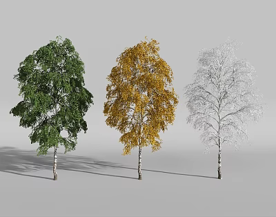 Three Birch Trees with Green Yellow Foliage and White Snow Cover 3d model