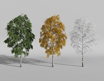 plant four seasons landscape tree spring summer autumn winter 3d model