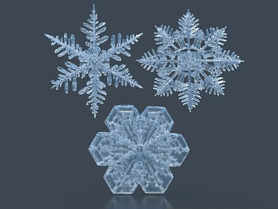 Delicate Transparent Snowflake Decorative Ornament Set With Various Designs For Home Decor 3d model