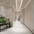 Modern Beauty Salon Interior With Elegant Reception Sofa Product Display Shelves And Professional Workstation