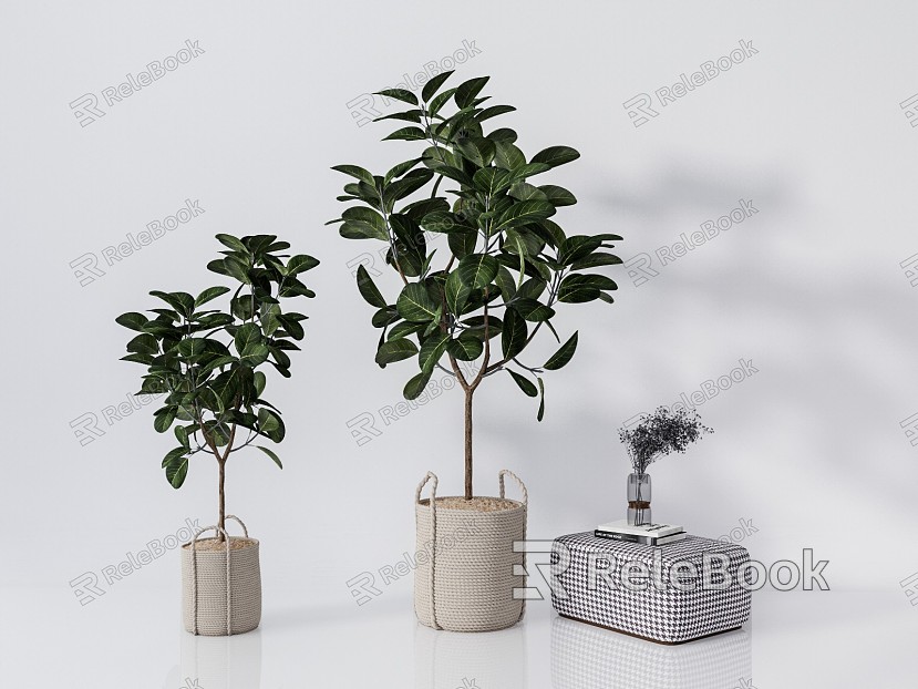 Modern Potted Plant Green Plant Bonsai model