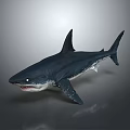 Realistic Marine Life Shark Figure With Deep Blue Body Sharp Teeth And Swimming Pose