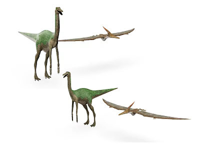 Two Green Reptiles with Long Wings and Slender Legs in Standing Posture 3d model