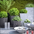 Garden Decor Featuring Living Wall Various Planters Green Plants White Stones And Glass Vases